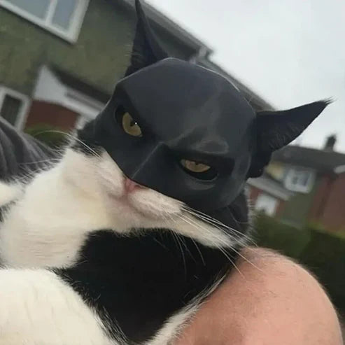 Amaryllis Batman Mask For Your Cat