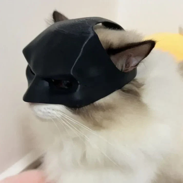 Amaryllis Batman Mask For Your Cat