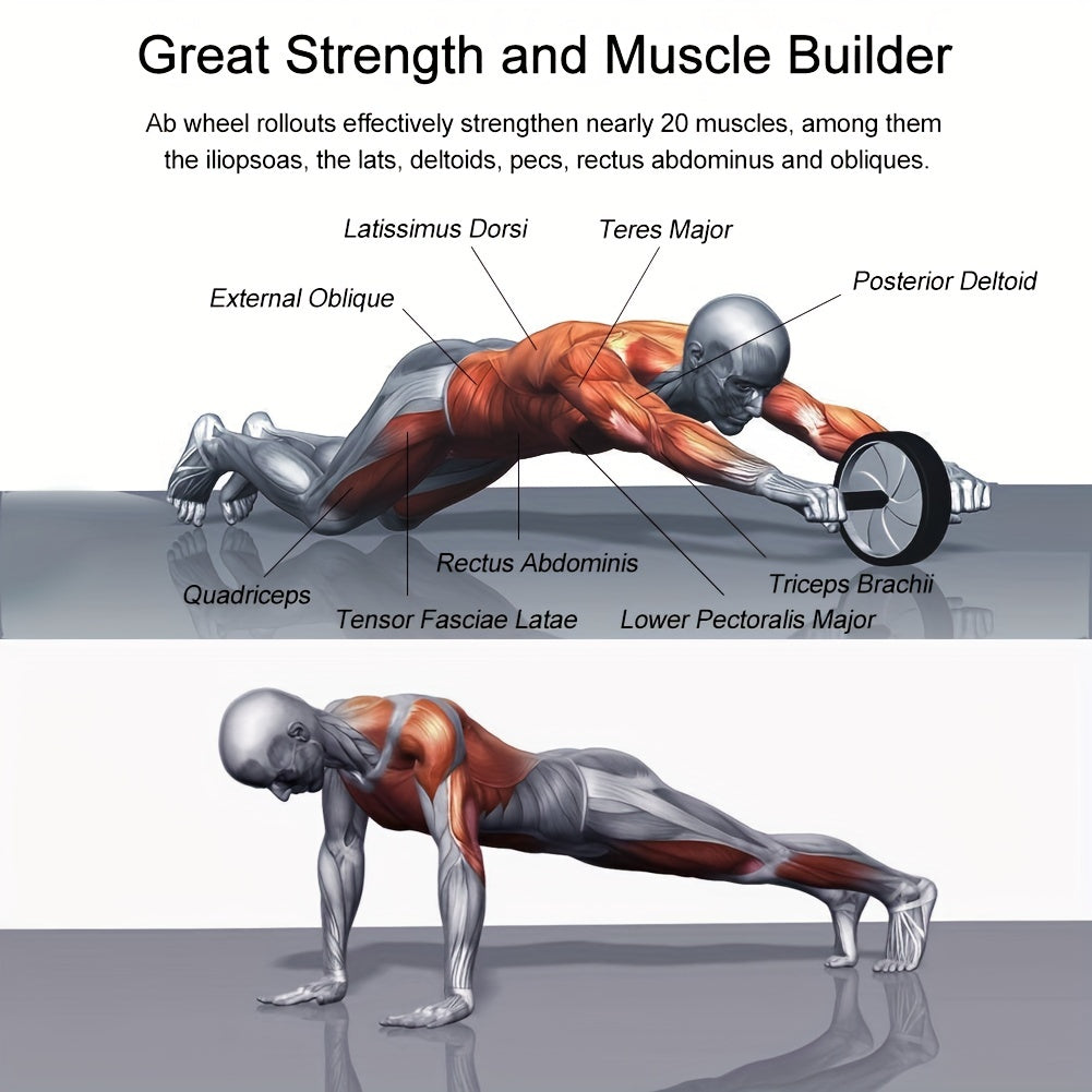 Silent & Stable Abdominal Wheel