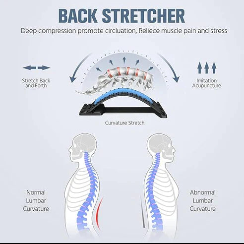 Amaryllis Back Stretcher