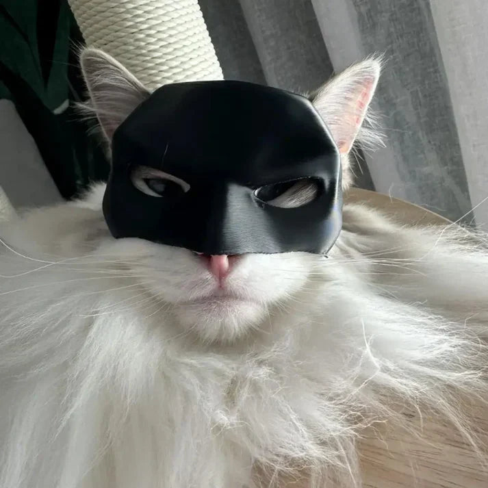 Amaryllis Batman Mask For Your Cat